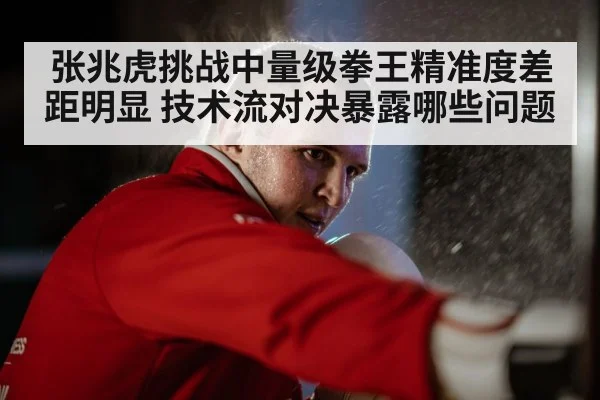 张兆虎挑战中量级拳王精准度差距明显 技术流对决暴露哪些问题 | kaiyun