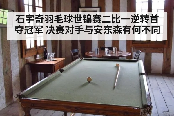 石宇奇羽毛球世锦赛二比一逆转首夺冠军 决赛对手与安东森有何不同 - kaiyun